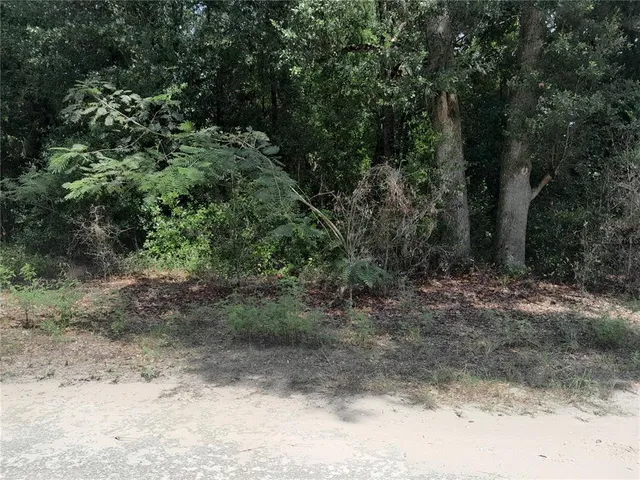 a view of a yard with a tree