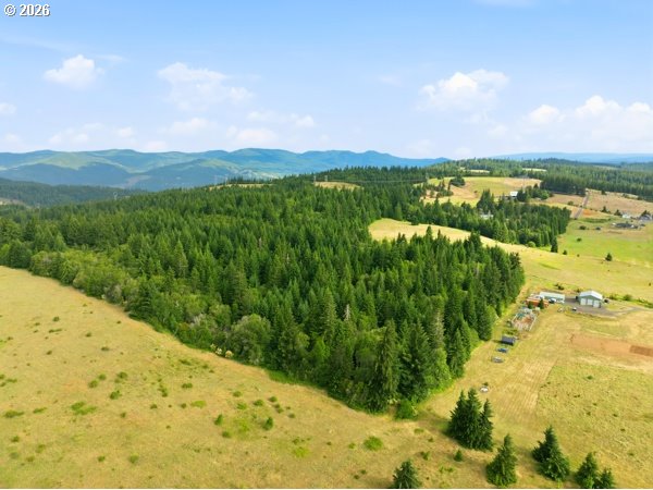 Snowden Road White Salmon, WA 98672 - Photo 15 of 26
