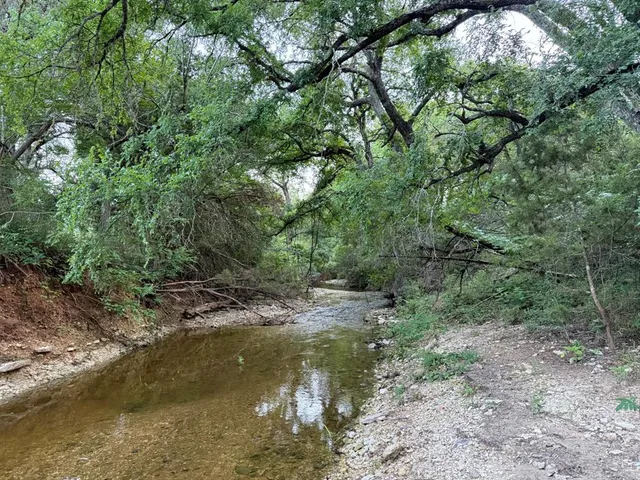 a view of a lake with green forest
