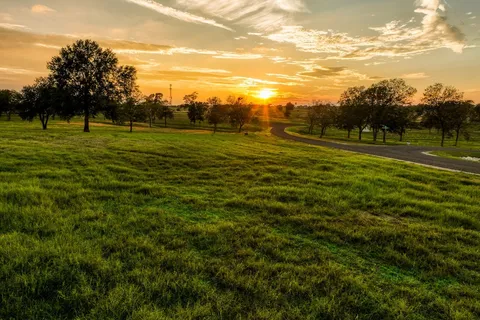 a view of an ocean and beach