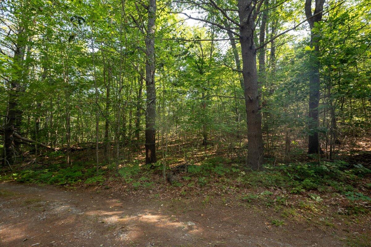 23 Map Road Nobleboro, ME 04555 - Photo 10 of 12 Map 23 Lot 6-B Loch Erin Road, Nobleboro
