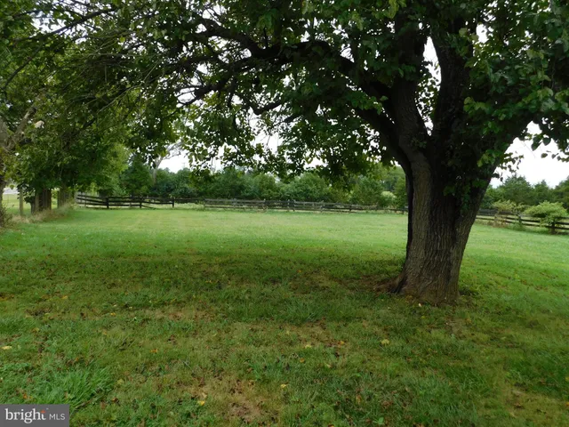 a view of a grassy field with trees