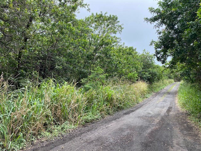 a view of a pathway both side of yard