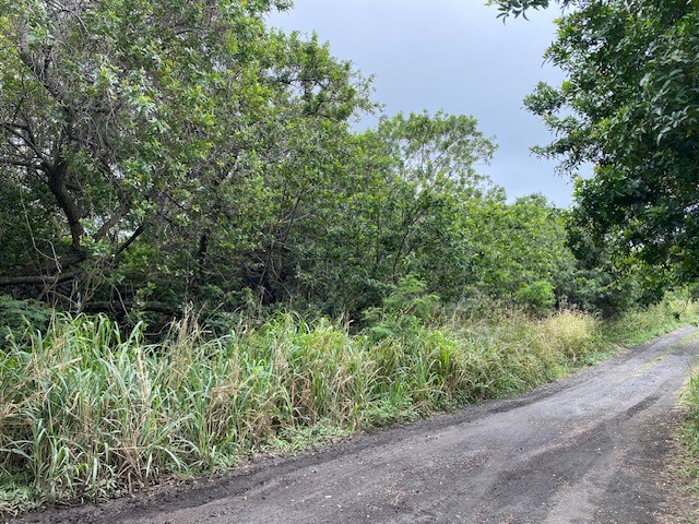 7 Kekuhaupio Road Naalehu, HI 96772 - Photo 10 of 10 a view of a garden with plants
