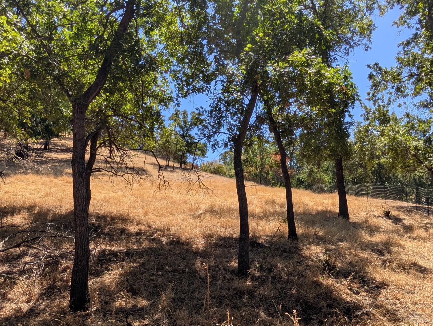 6526 Gibson Canyon Road Vacaville, CA 95688 - Photo 19 of 32