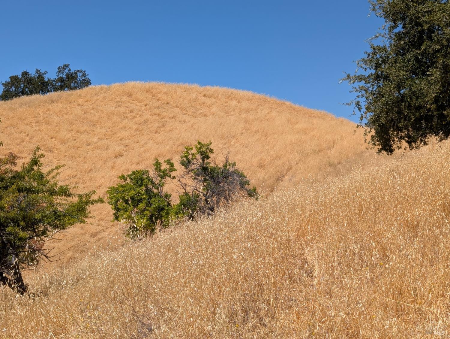 6526 Gibson Canyon Road Vacaville, CA 95688 - Photo 22 of 32