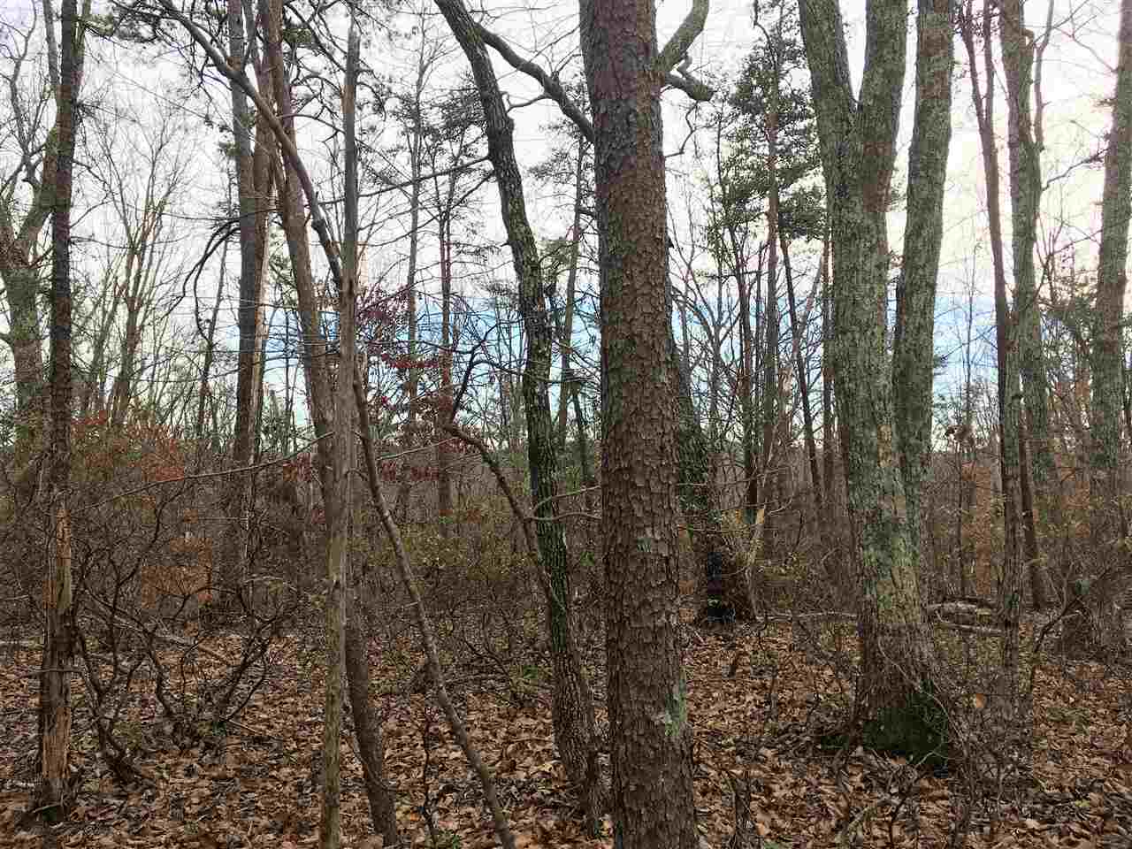 Ridge Drive Amherst, VA 24521 - Photo 3 of 17 Gallery Image 3