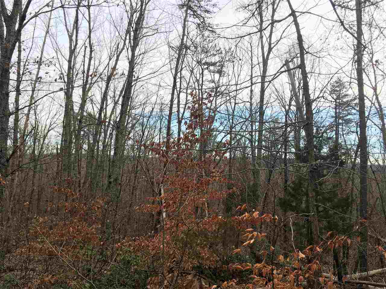 Ridge Drive Amherst, VA 24521 - Photo 4 of 17 Gallery Image 4