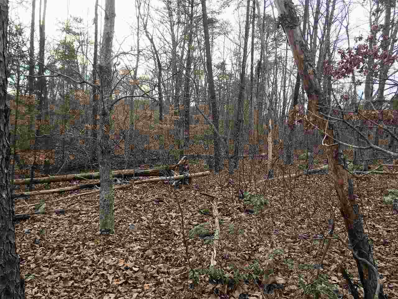 Ridge Drive Amherst, VA 24521 - Photo 6 of 17 Gallery Image 6