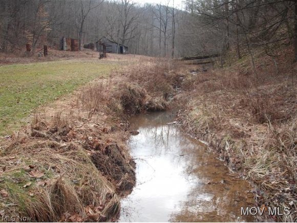 0 C Road Smithville, WV 26178 - Photo 6 of 9 Gallery Image 6