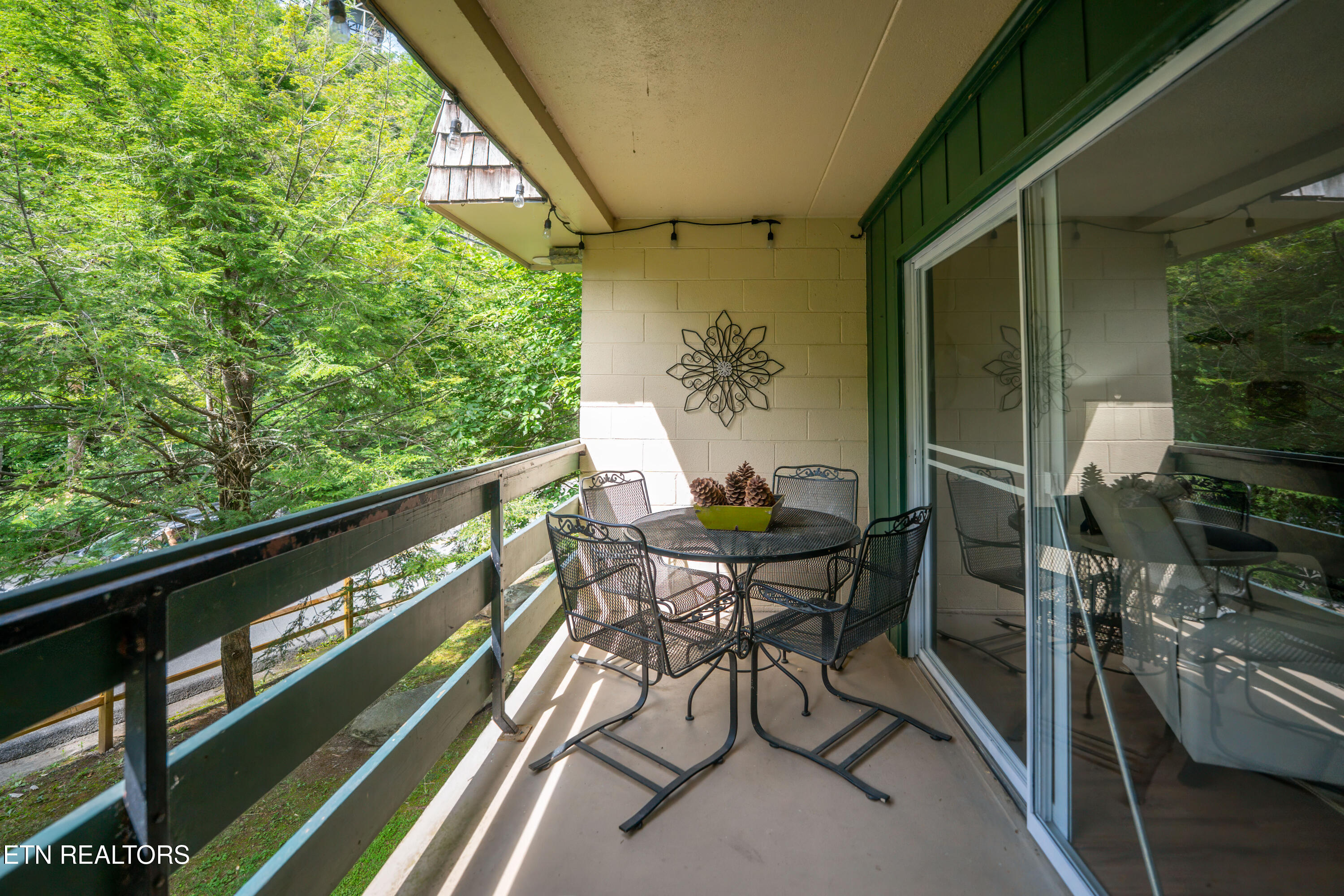 260 Roaring Fork Road, Unit 224 Gatlinburg, TN 37738 - Photo 22 of 28 _DSC4764-Edit
