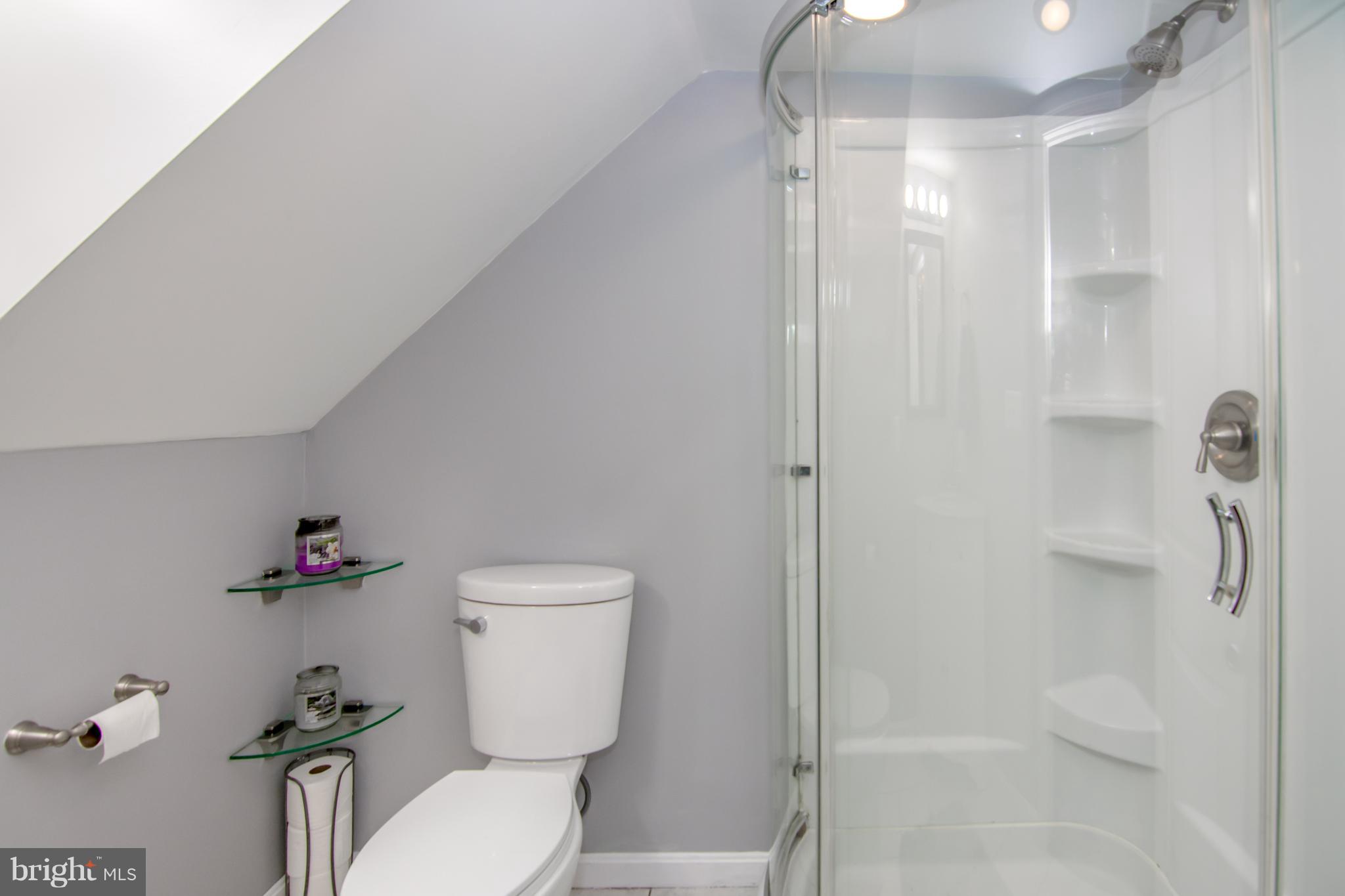 2158 Coralthorn Road Baltimore, MD 21220 - Photo 20 of 24 Bath in Lower Level