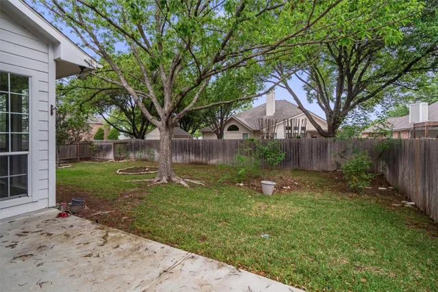 a backyard of a house with plants and large tree
