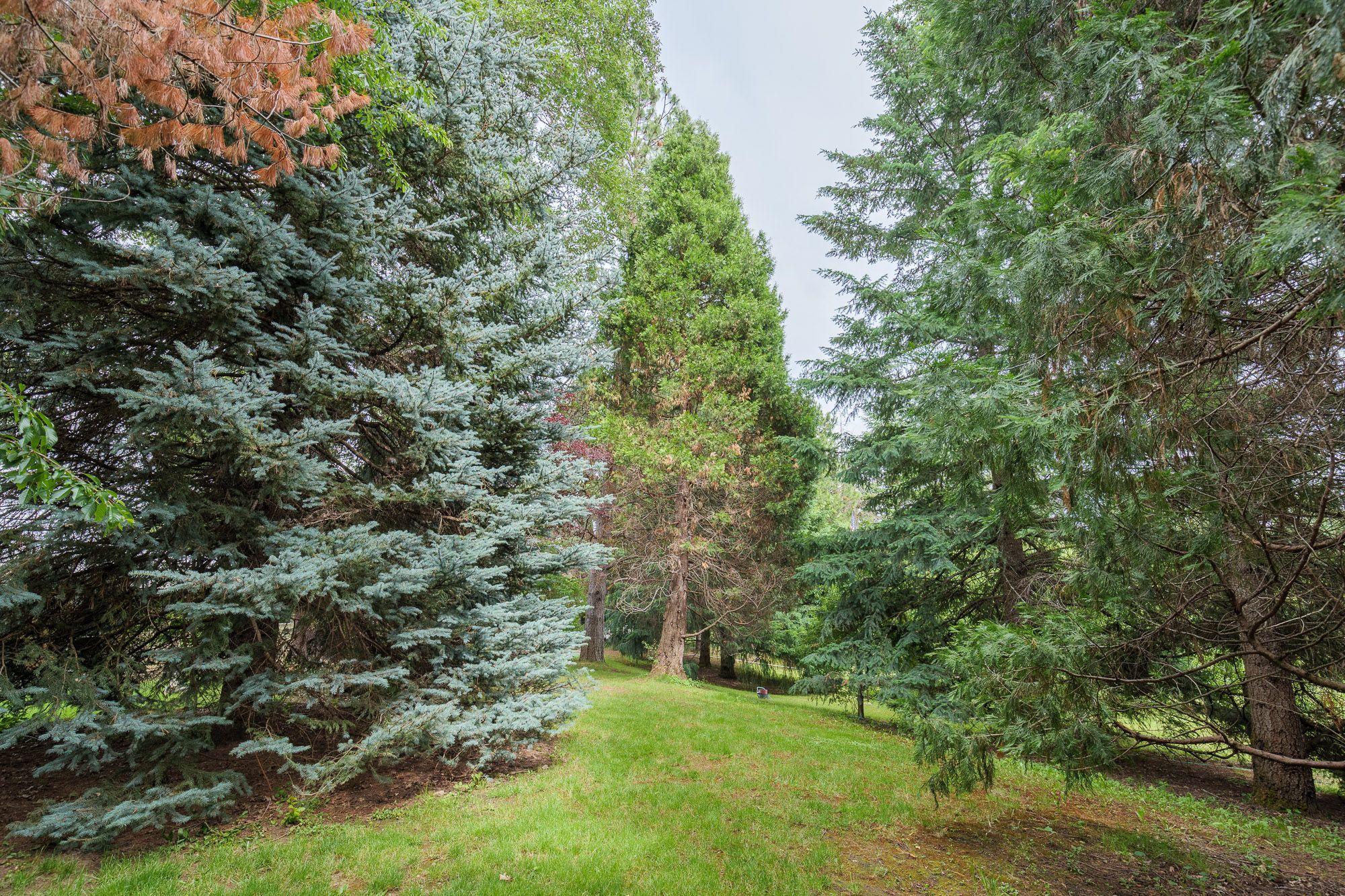 1640 Cedar Flat Road Williams, OR 97544 - Photo 26 of 30 Back yard 3