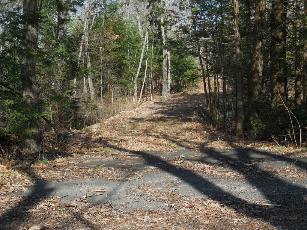 35 Simonds Hill Road Hubbardston, MA 01452 - Photo 3 of 6 a view of a trees with yard