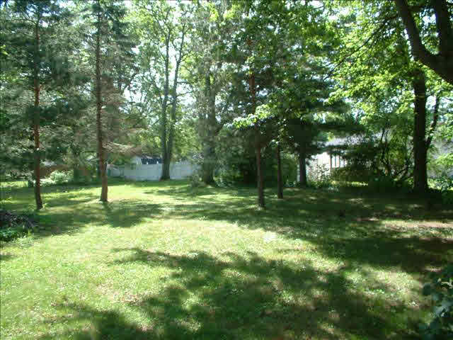 1145 West Temperance Road Temperance, MI 48182 - Photo 12 of 12 Rear Lot View