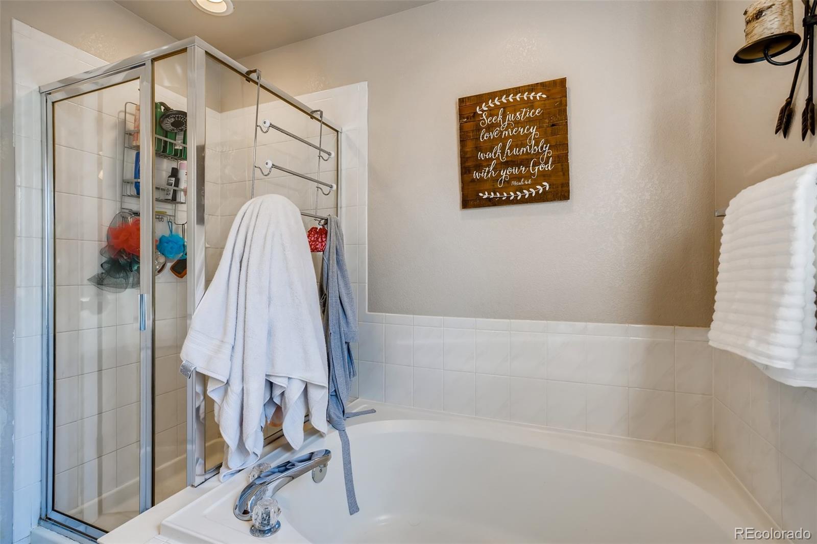 961 Riddlewood Road Highlands Ranch, CO 80129 - Photo 18 of 27
