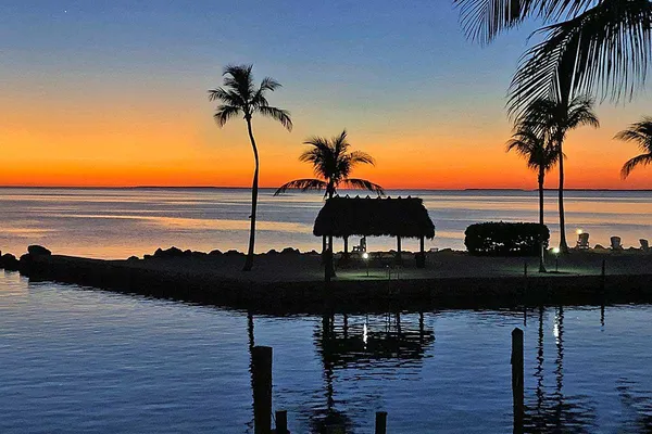 a view of a terrace with chairs
