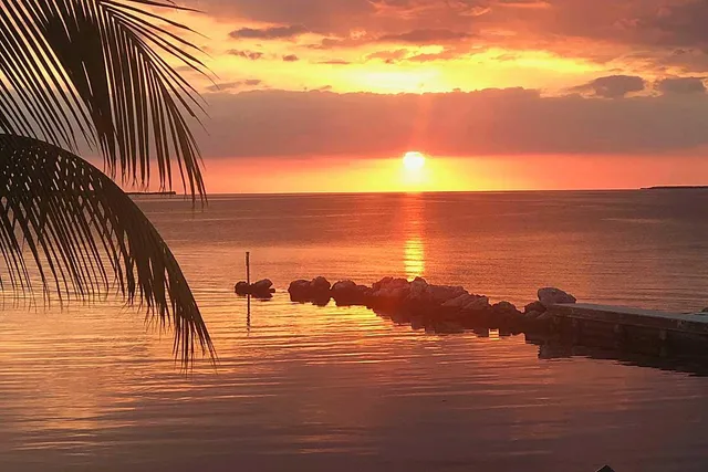 a view of ocean with palm trees