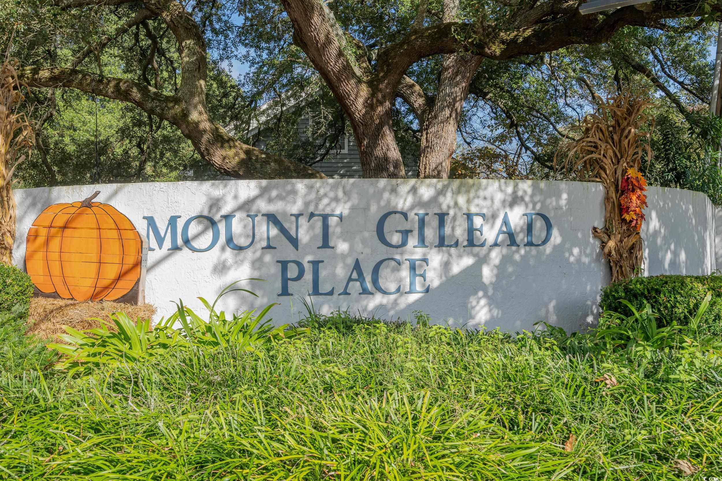 824 Mount Gilead Pl Drive Murrells Inlet, SC 29576 - Photo 36 of 40 View of community / neighborhood sign