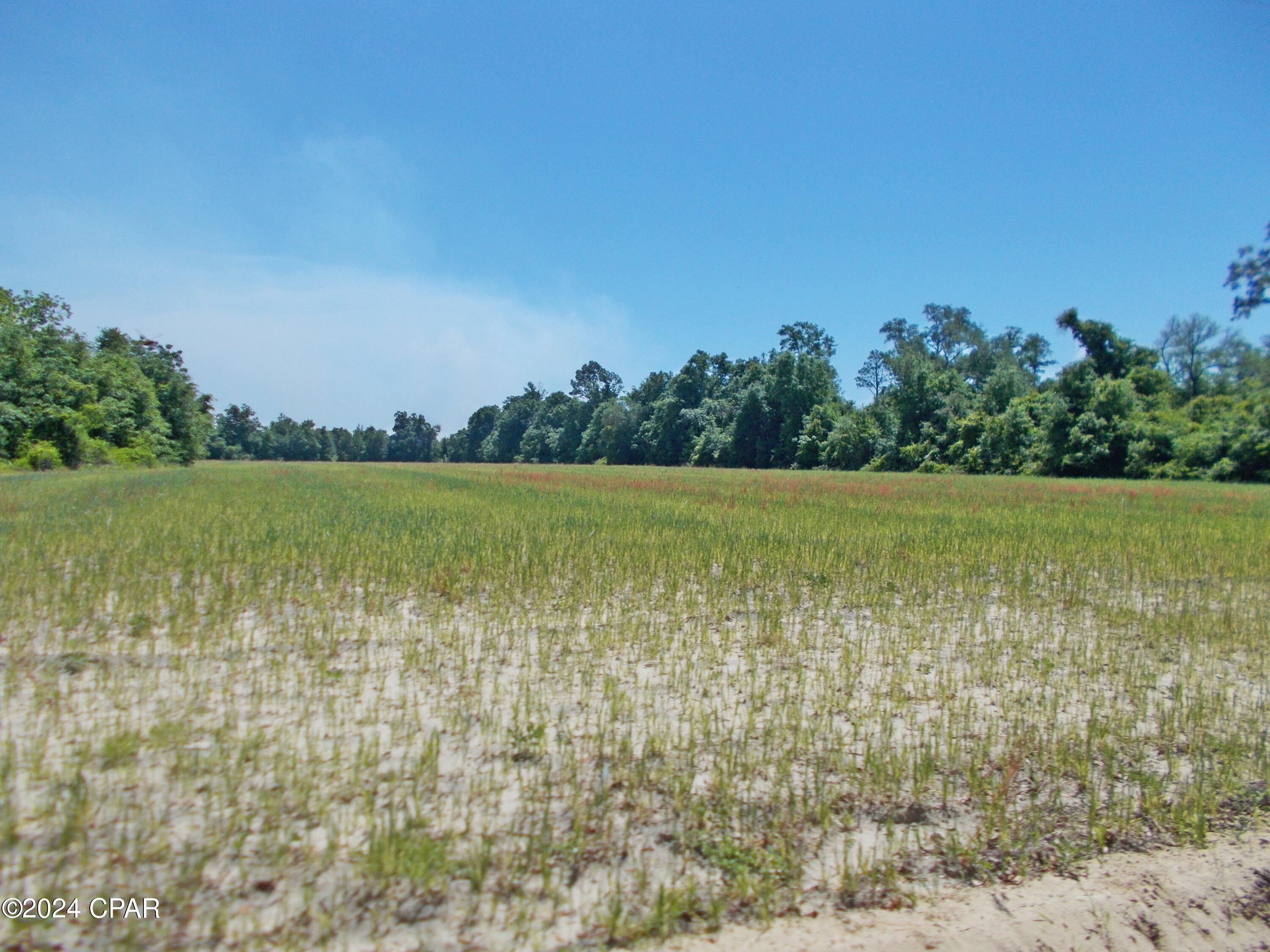 2-ac Melon Lane Grand Ridge, FL 32442 - Photo 5 of 14