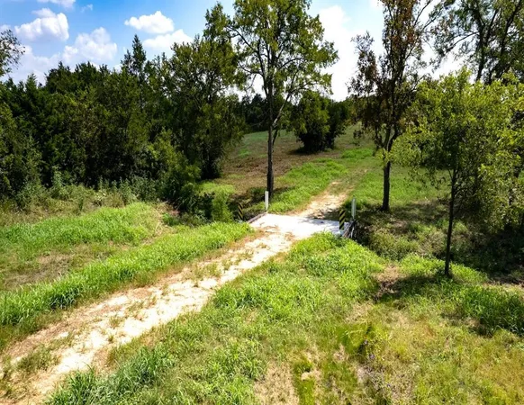 a view of a park with large trees