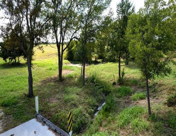 a view of a yard with a tree