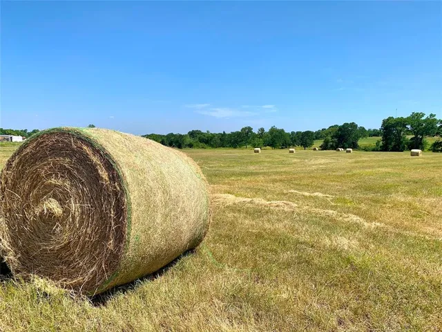a view of an ocean and mountain