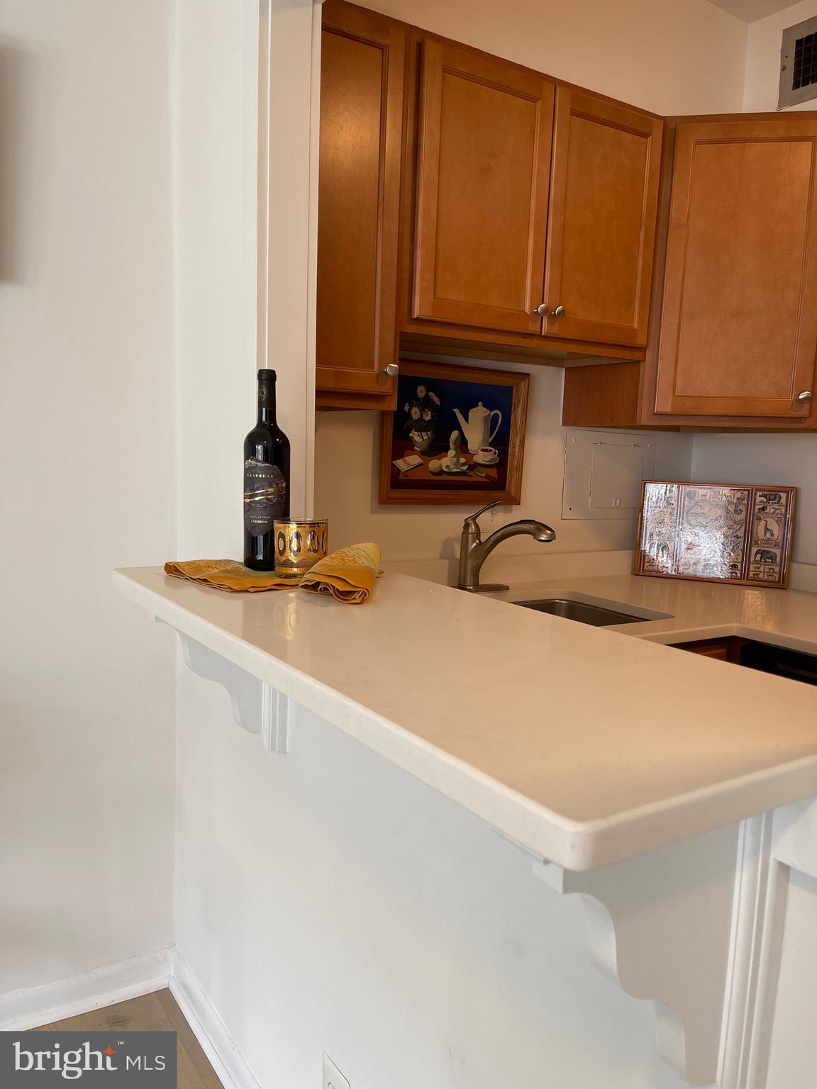 510 N Street Southwest, Unit N223 Washington, DC 20024 - Photo 15 of 51