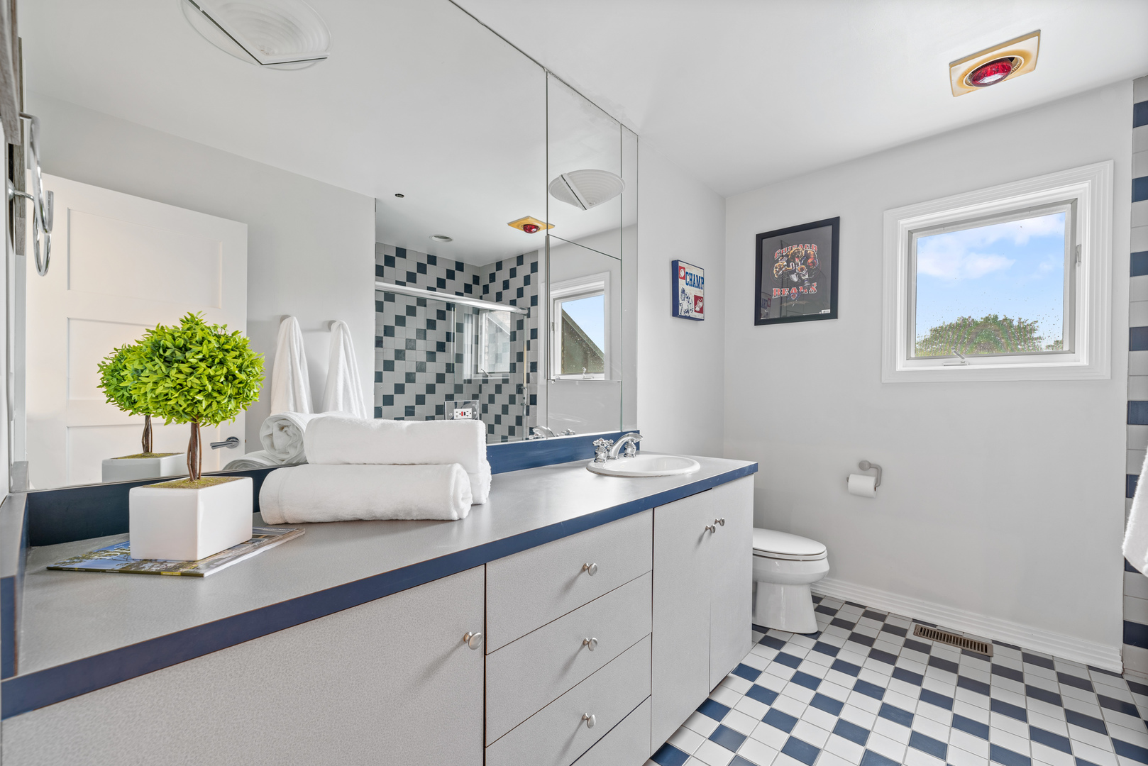 780 Bob-O-Link Road Highland Park, IL 60035 - Photo 28 of 50 a bathroom with a granite countertop sink and a mirror