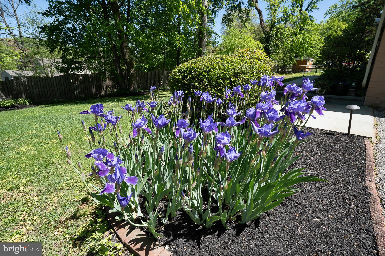 658 Conestoga Road Villanova, PA 19085 - Photo 5 of 57 a bunch of flowers are in a garden