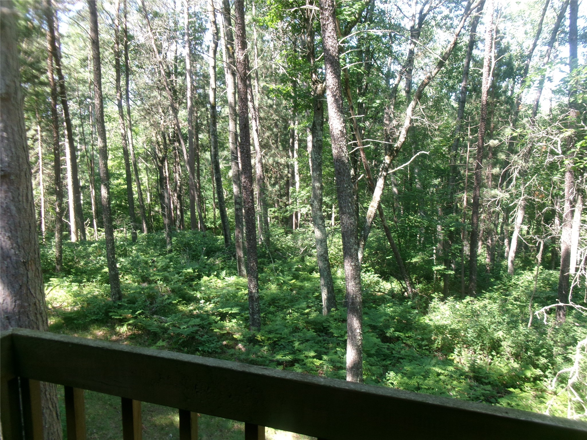 N8151 Cattail Lane Spooner, WI 54801 - Photo 15 of 22