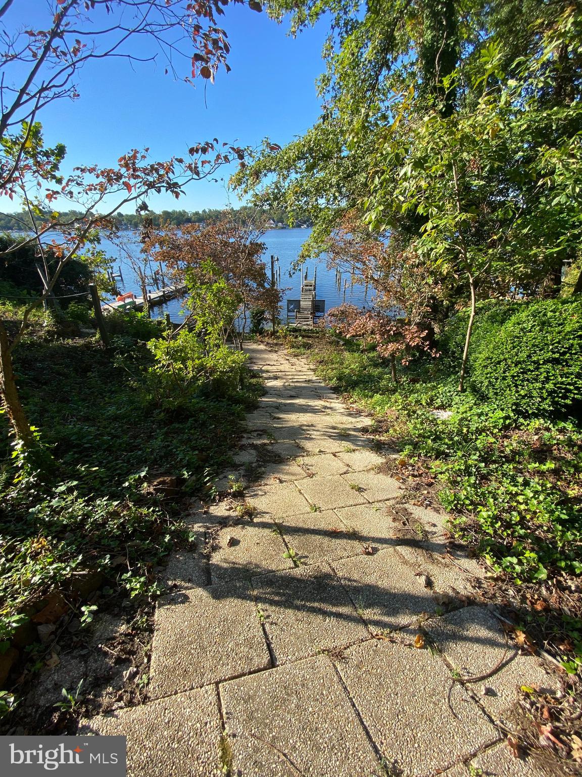 231 Cape St John Road Annapolis, MD 21401 - Photo 28 of 39 Path to your private pier and beach