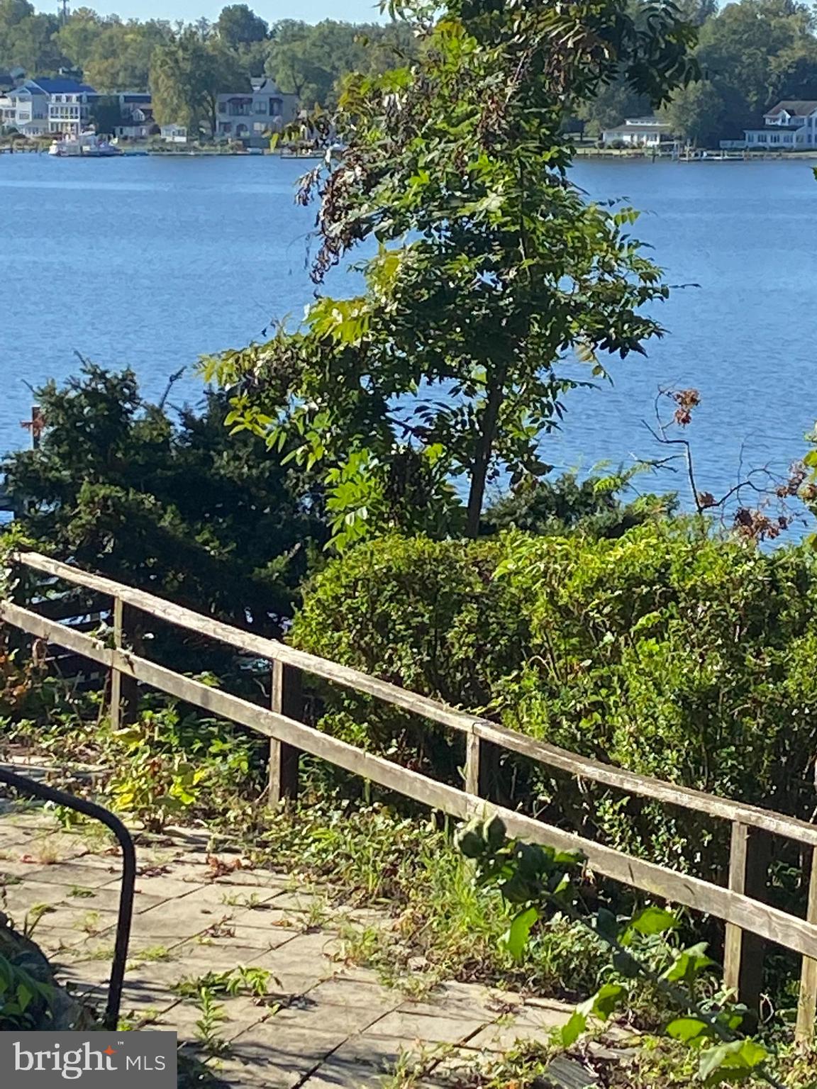 231 Cape St John Road Annapolis, MD 21401 - Photo 32 of 39 Path to the river
