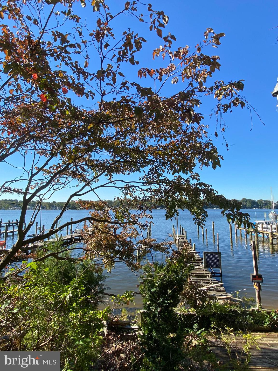 231 Cape St John Road Annapolis, MD 21401 - Photo 34 of 39 Gallery Image 34
