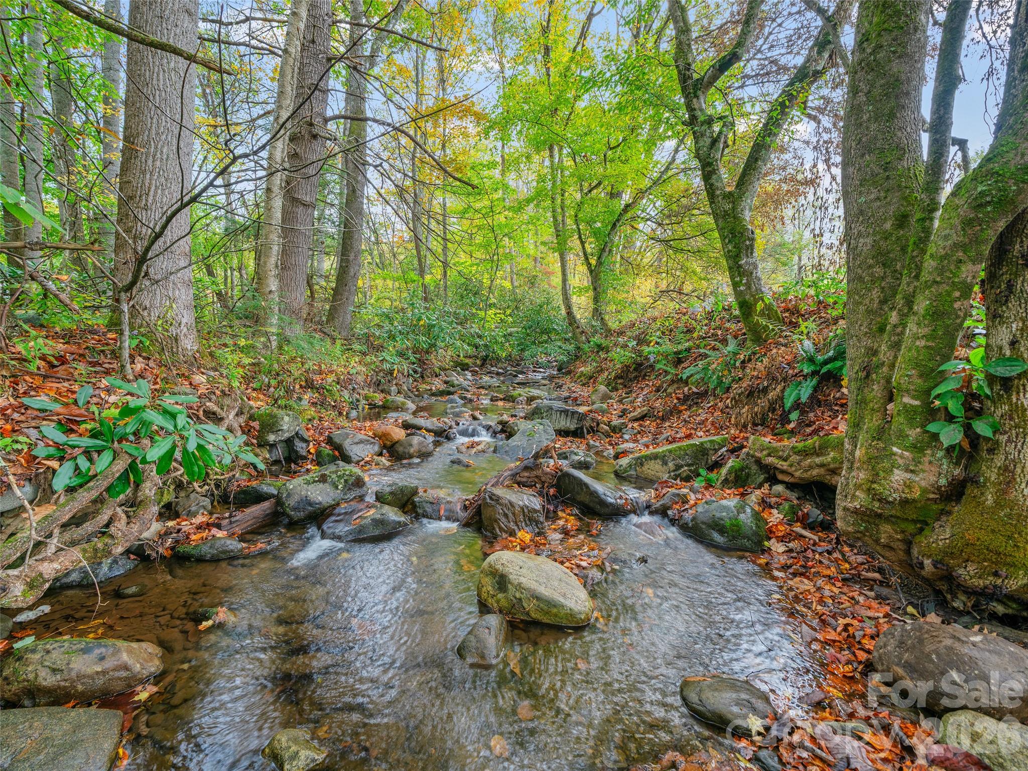 1030 Hughes Gap Road Bakersville, NC 28705 - Photo 19 of 21