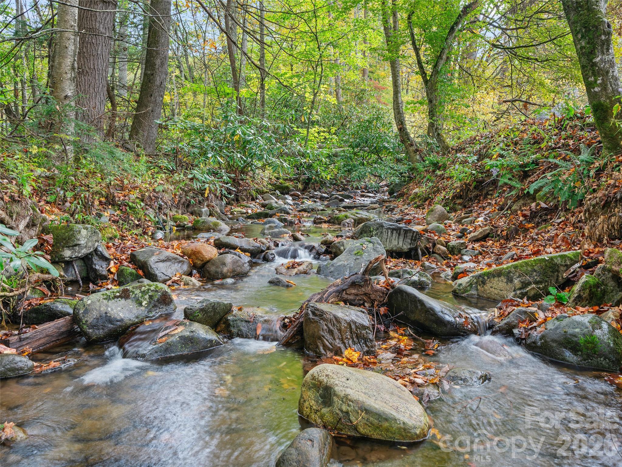 1030 Hughes Gap Road Bakersville, NC 28705 - Photo 2 of 21