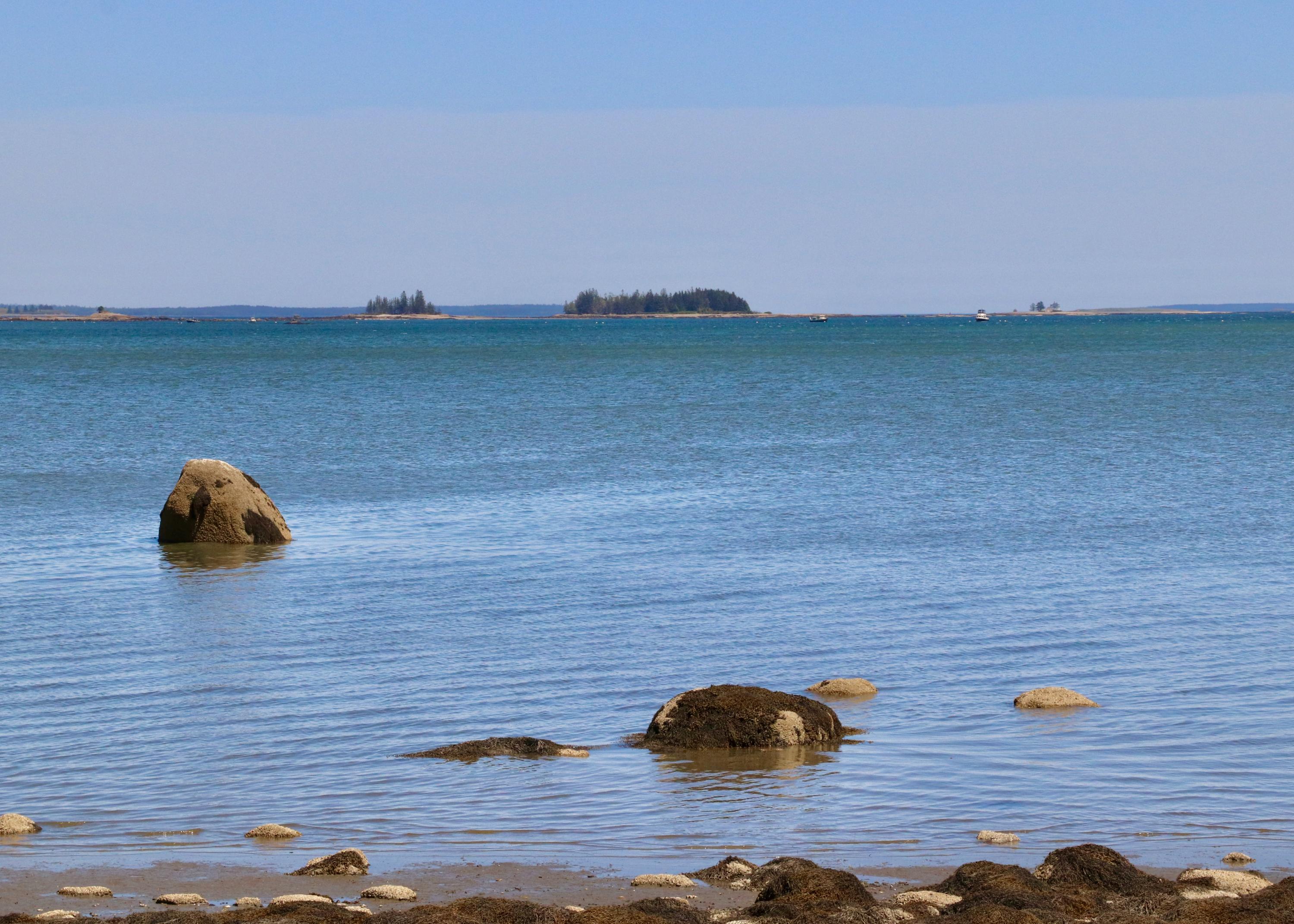 0 Naskeag Point Road Brooklin, ME 04616 - Photo 23 of 34 Photo May 31, 2 24 37 PM
