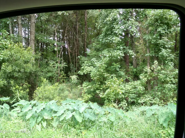 $13,900 | Lot 15 Scott Street, Fair Bluff, NC 28439