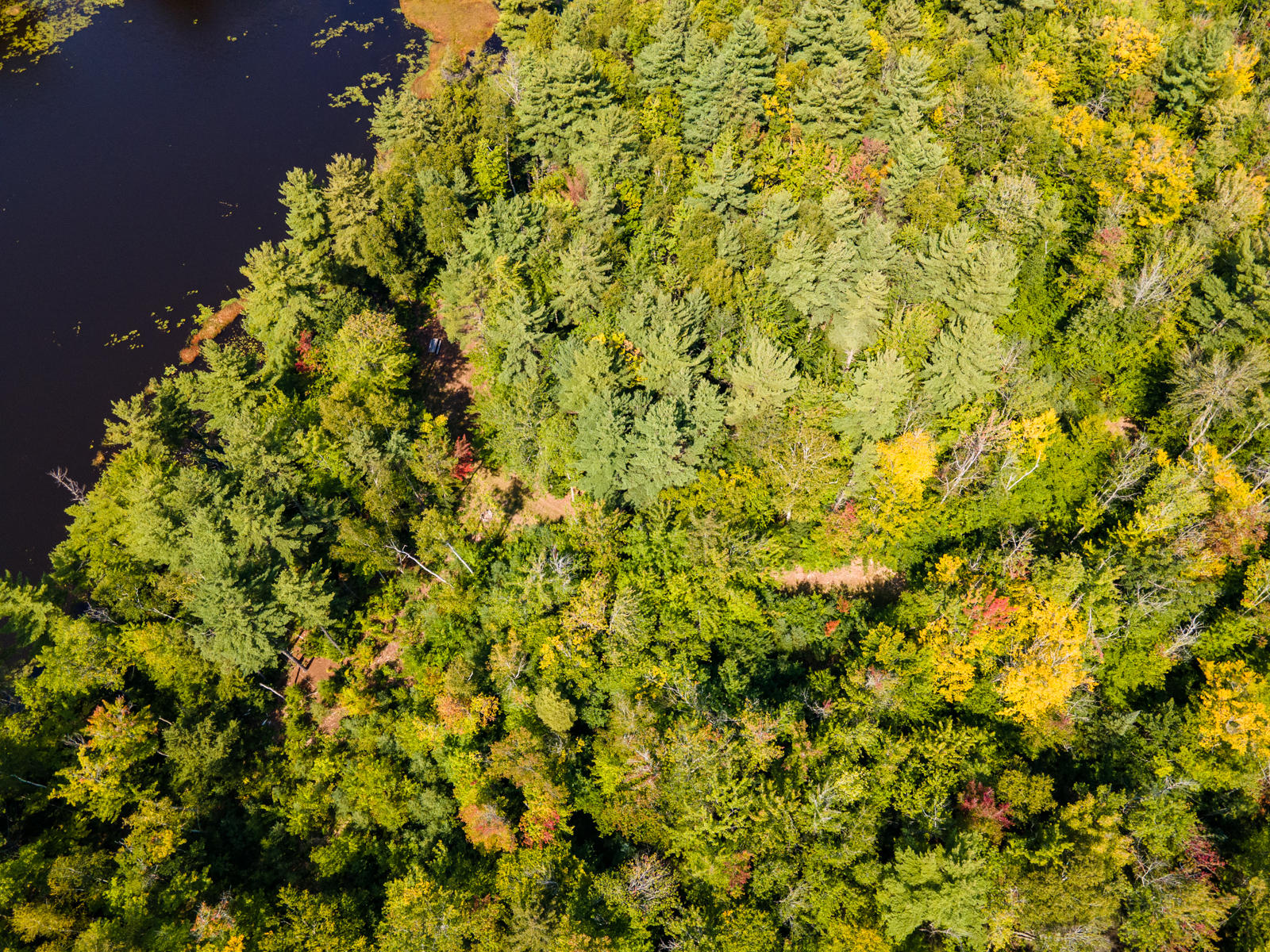 406 Ladd Road Mercer, ME 04957 - Photo 7 of 72 _lakehome_laddDRONE24
