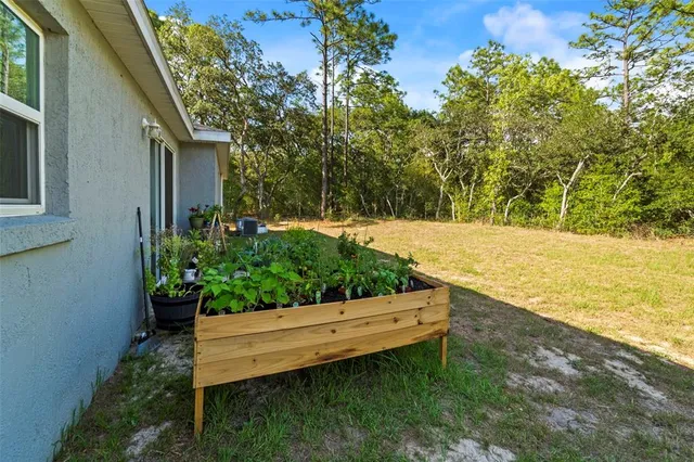 a view front of house with a yard