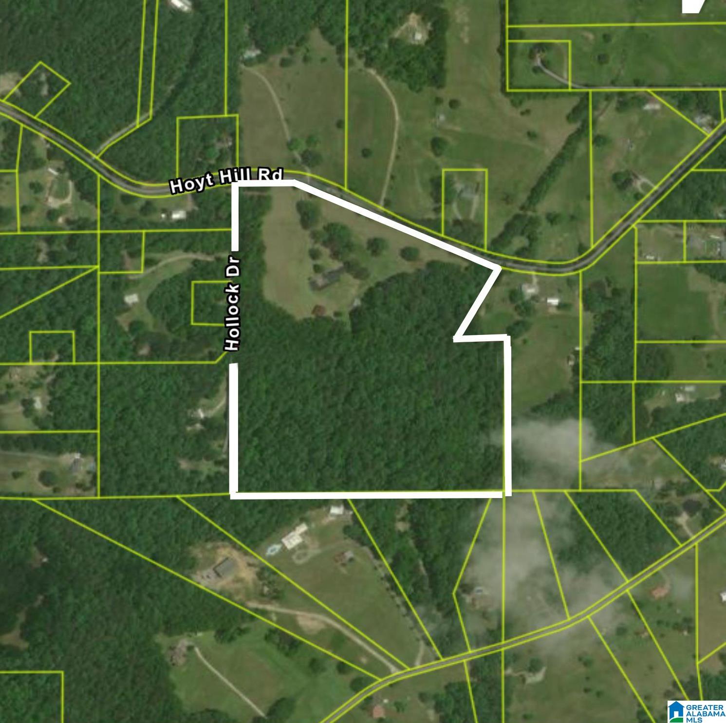 515 Hoyt Hill Road Ashville, AL 35953 - Photo 6 of 49