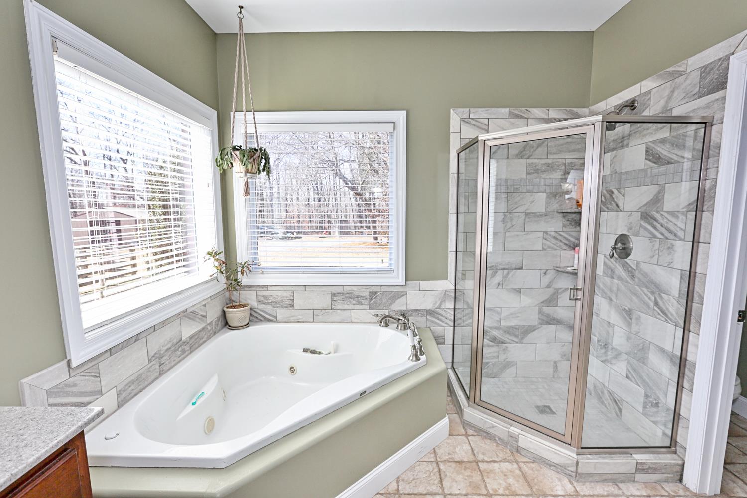 42 Partin Road Taft, TN 38488 - Photo 19 of 30 a bathroom with a bathtub and a shower