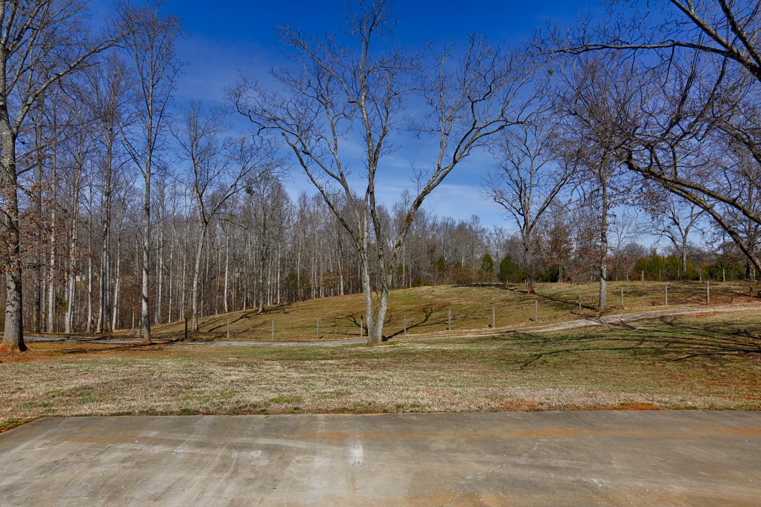 42 Partin Road Taft, TN 38488 - Photo 7 of 30 a house view with backyard space