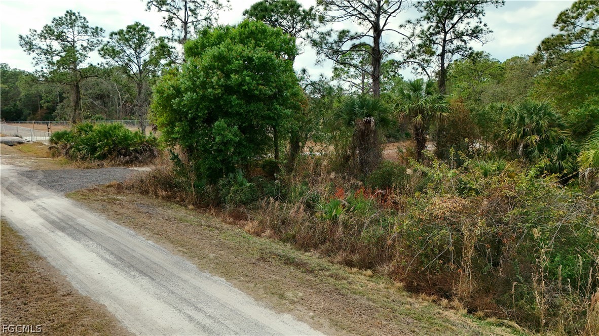 620 South Datil Street Clewiston, FL 33440 - Photo 2 of 9 a view of a yard with plants and large trees