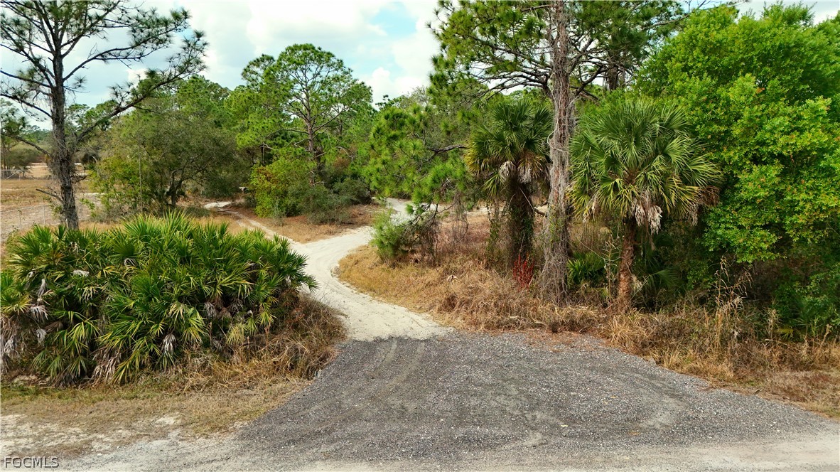 620 South Datil Street Clewiston, FL 33440 - Photo 3 of 9 a view of a yard with large trees