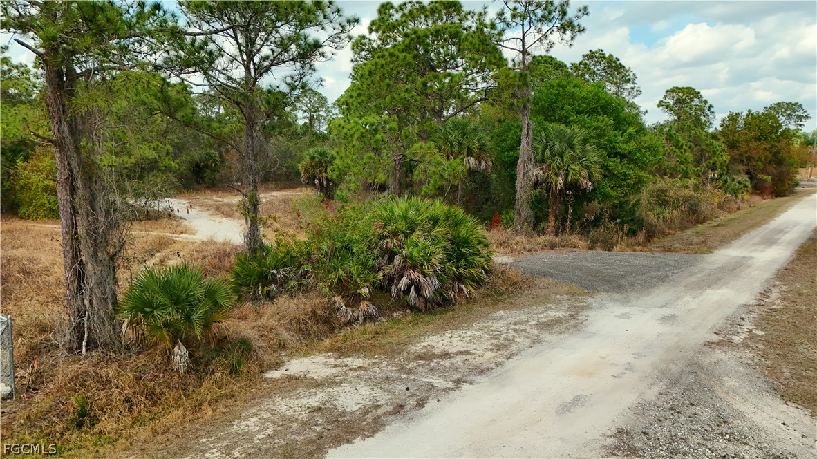 620 South Datil Street Clewiston, FL 33440 - Photo 4 of 9 a view of a yard with plants and trees