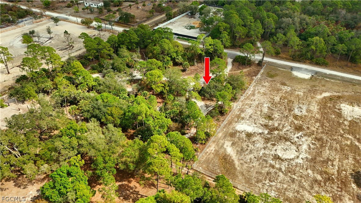 620 South Datil Street Clewiston, FL 33440 - Photo 6 of 9 a view of a yard with plants