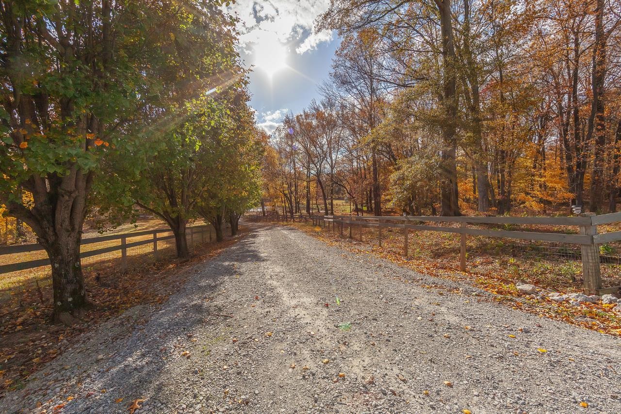 671 Groundhog Road Halls, TN 38040 - Photo 25 of 25 Gallery Image 25