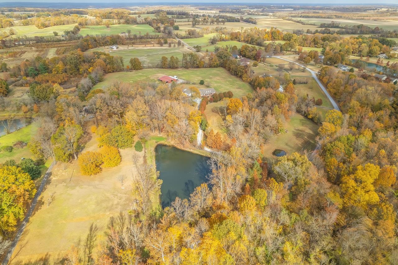 671 Groundhog Road Halls, TN 38040 - Photo 4 of 25 Gallery Image 4